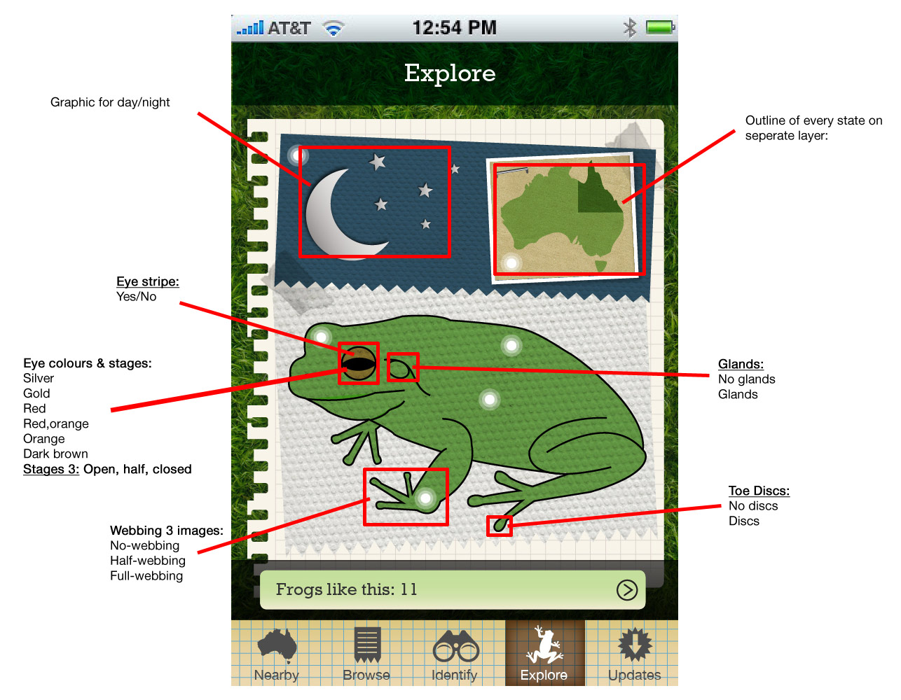Frog Guide Frogs Field Guide