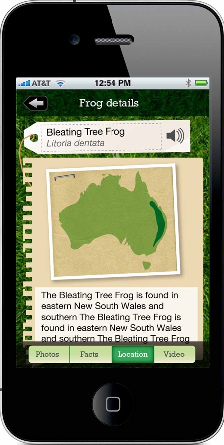 Frogs Field Guide
