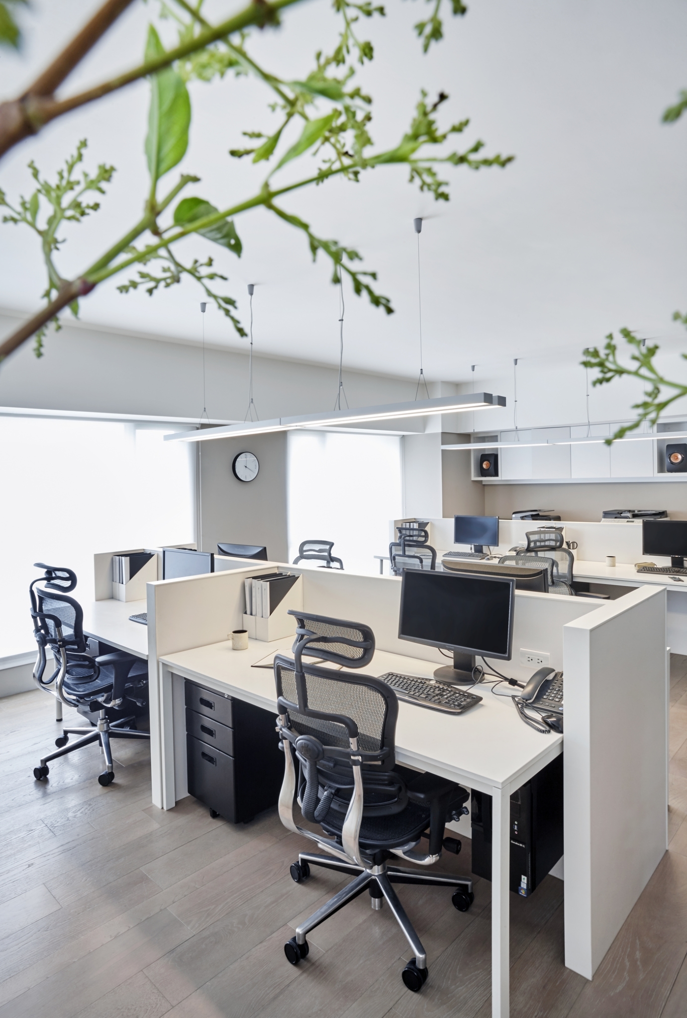 Innovation Office