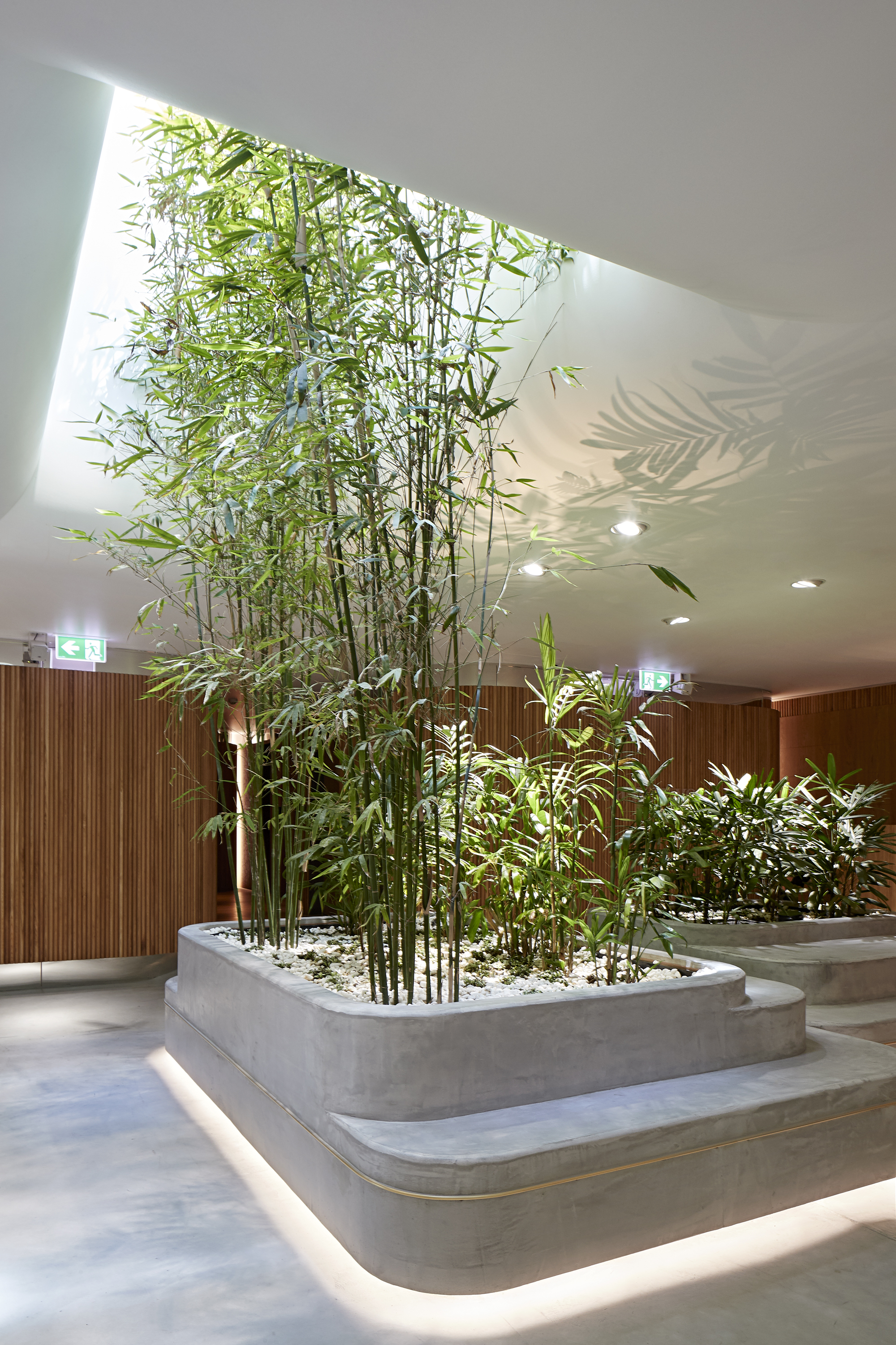 Rise by Studio PP - 101 Collins St