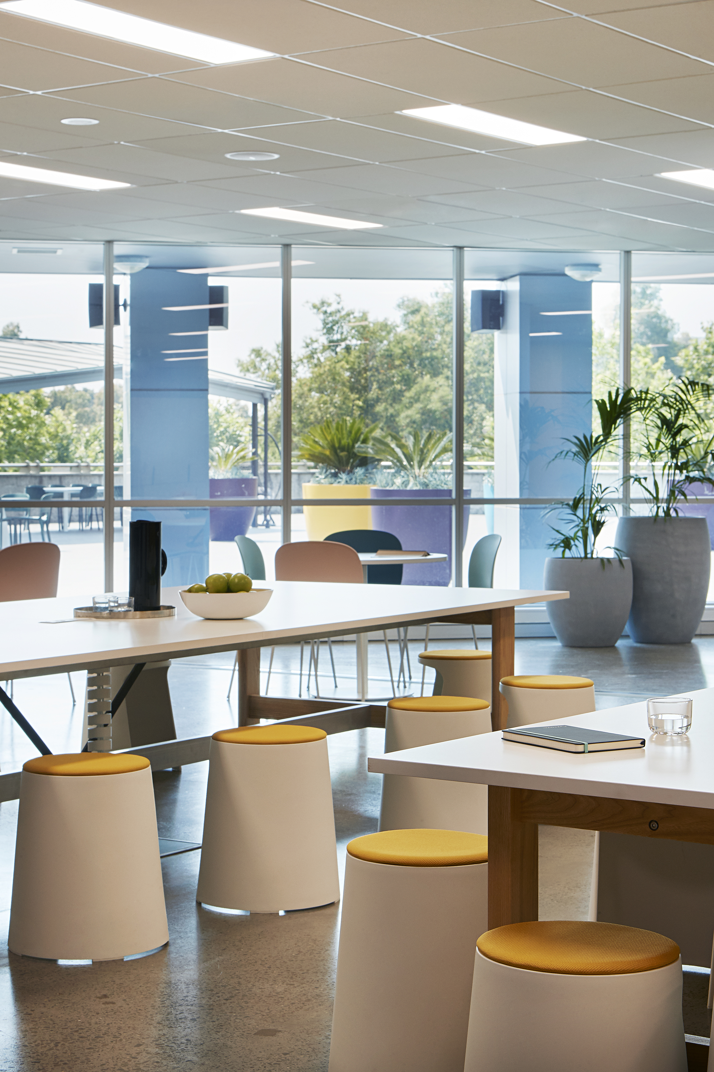 Merck Room Merck